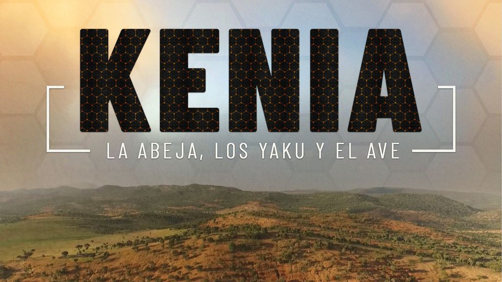 Kenia: la abeja, los yaku y el ave
