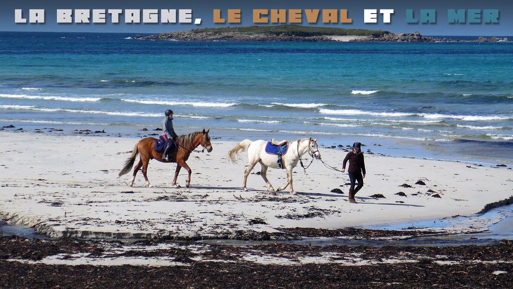 La Bretagne, le cheval et la mer