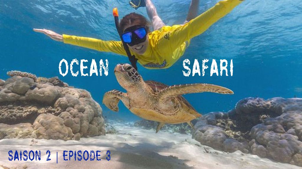 Ocean Safari - Saison 2 | Episode 3