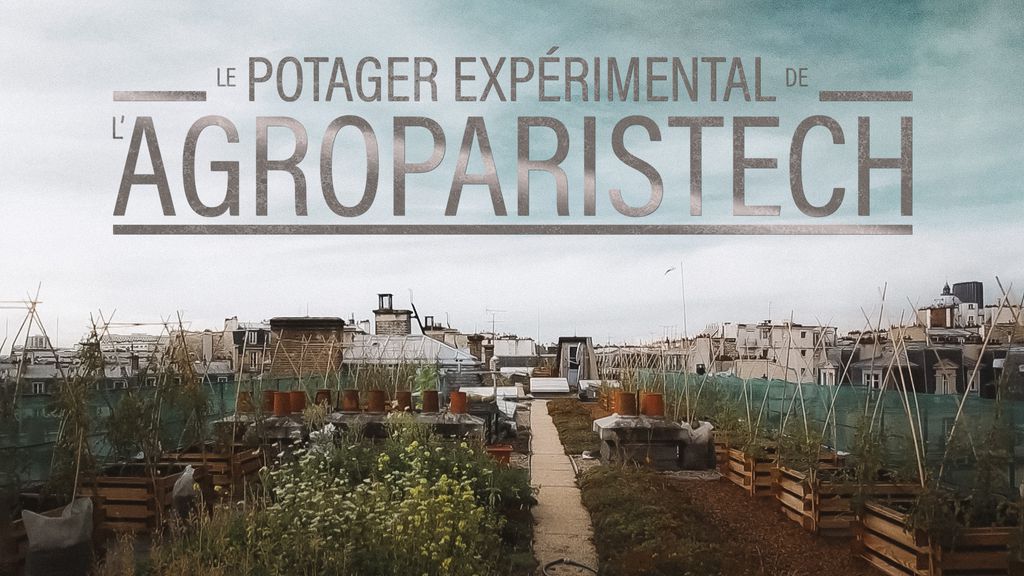 Le Potager Expérimental de l'AgroParisTech