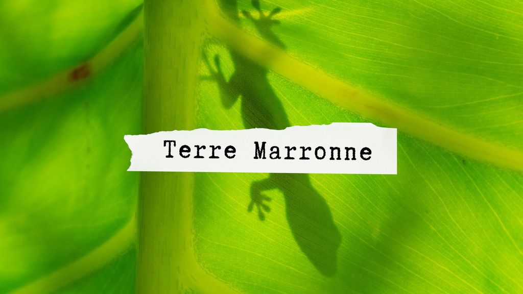 Terre Marronne