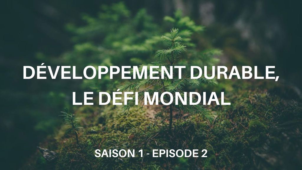 Développement Durable, le Défi Mondial - S01 E02 - l'Eau : Sénégal