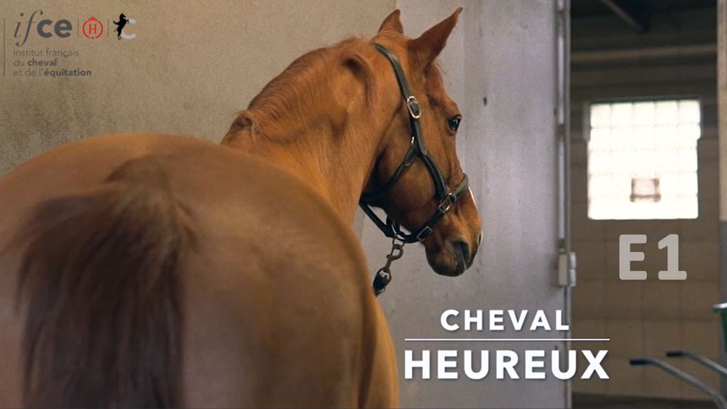 Cheval Heureux S1 E1