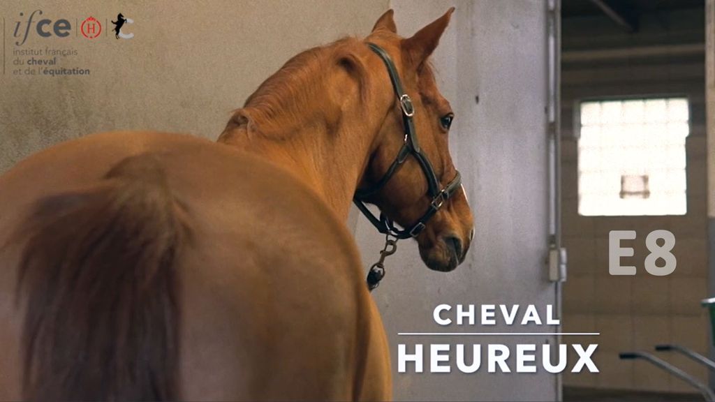 Cheval Heureux S1 E8