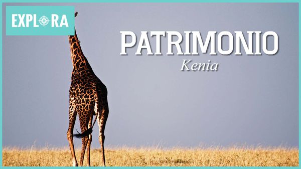 TVPlayerGo Disfrutando de los grandes tesoros naturales de Kenia
