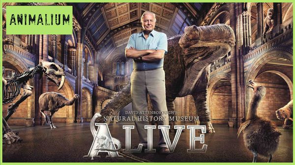 TVPlayerGo Natural History Museum Alive, David Attenborough