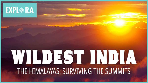 TVPlayerGo Las cumbres más altas del Himalaya:ejercicio de supervivencia